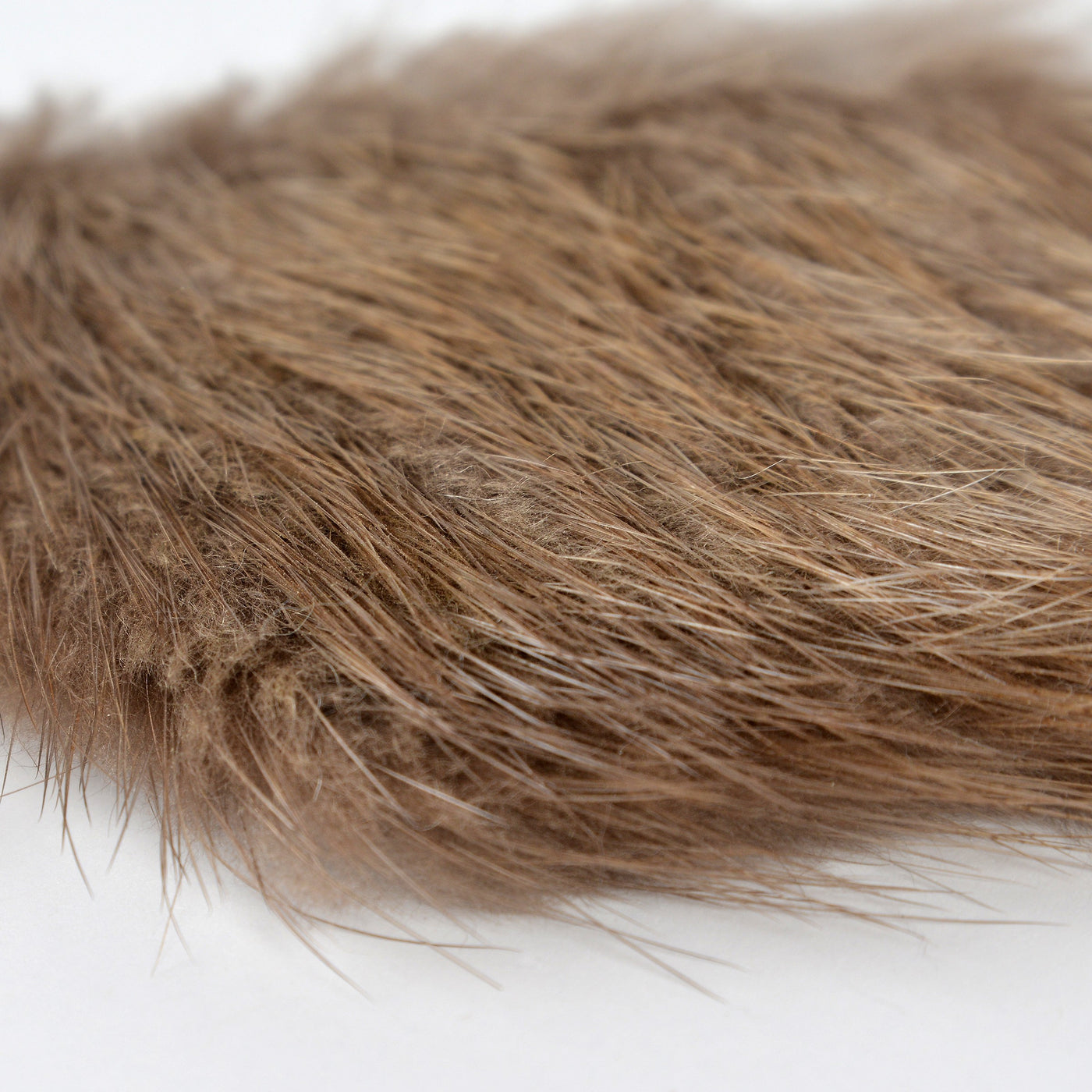 Beaver