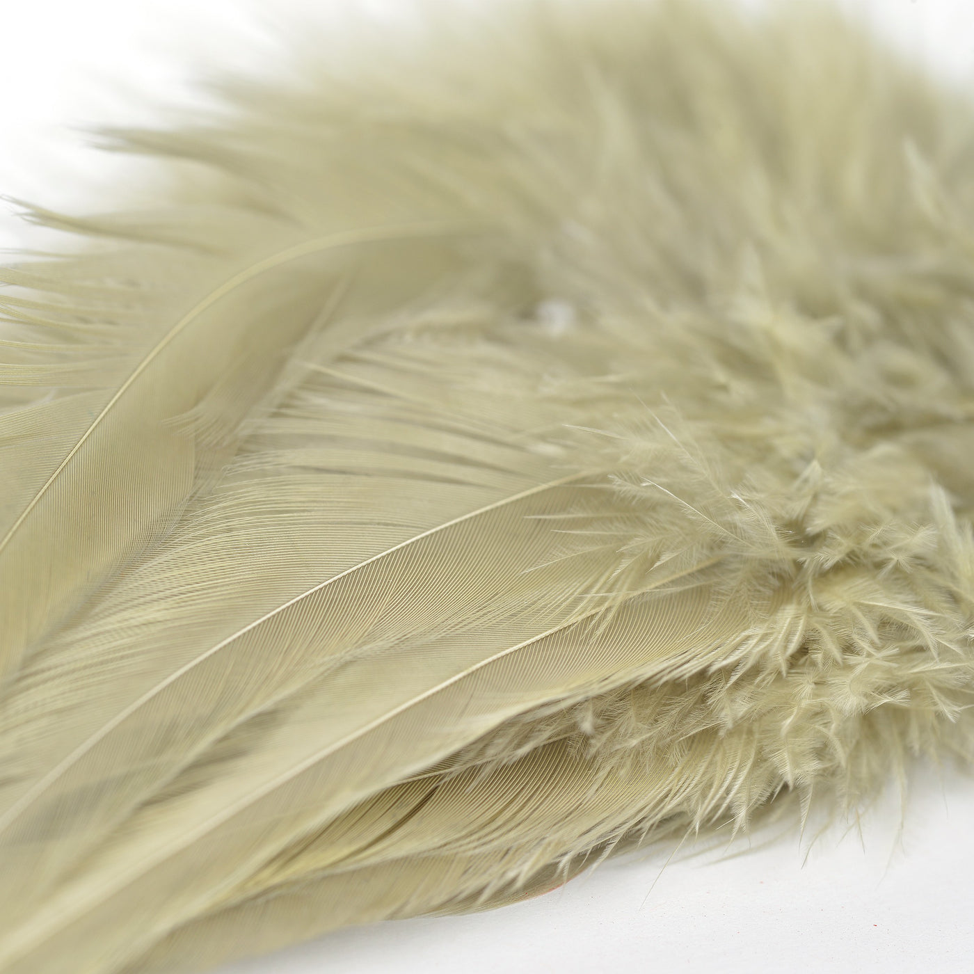 Premium Strung Saddle