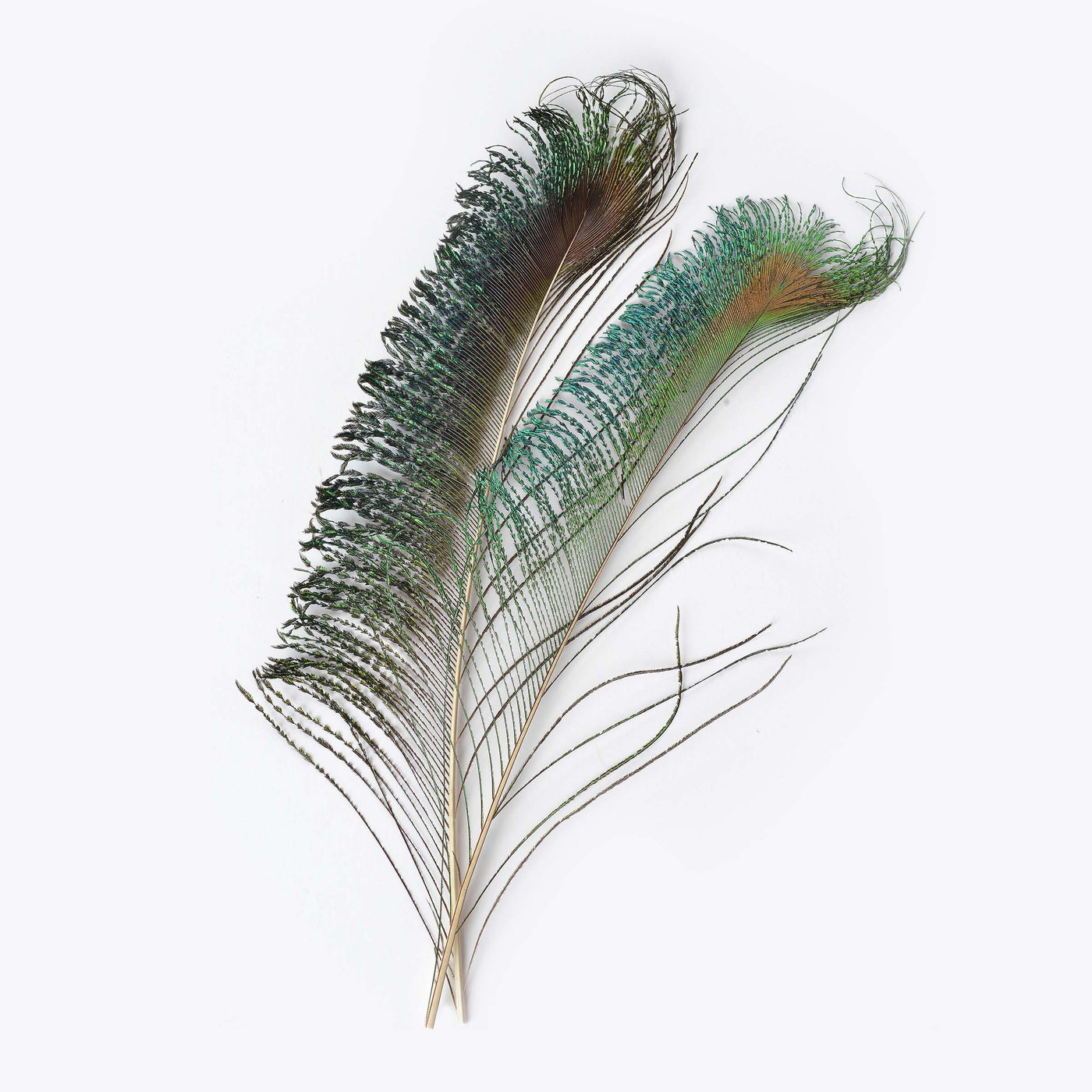 Peacock Sword