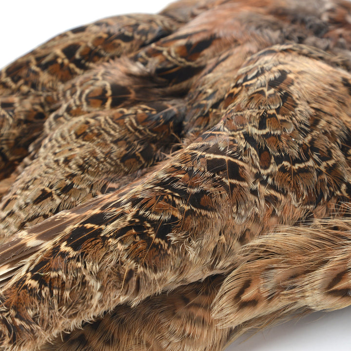 Ringneck Pheasant Hen Skin Natural