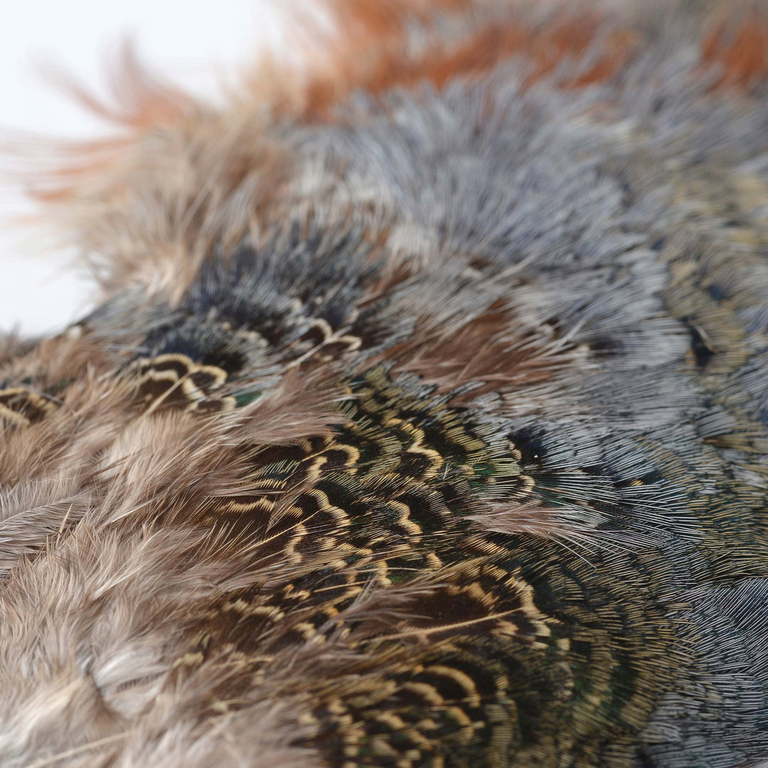 Ringneck Pheasant Rump Patch Natural