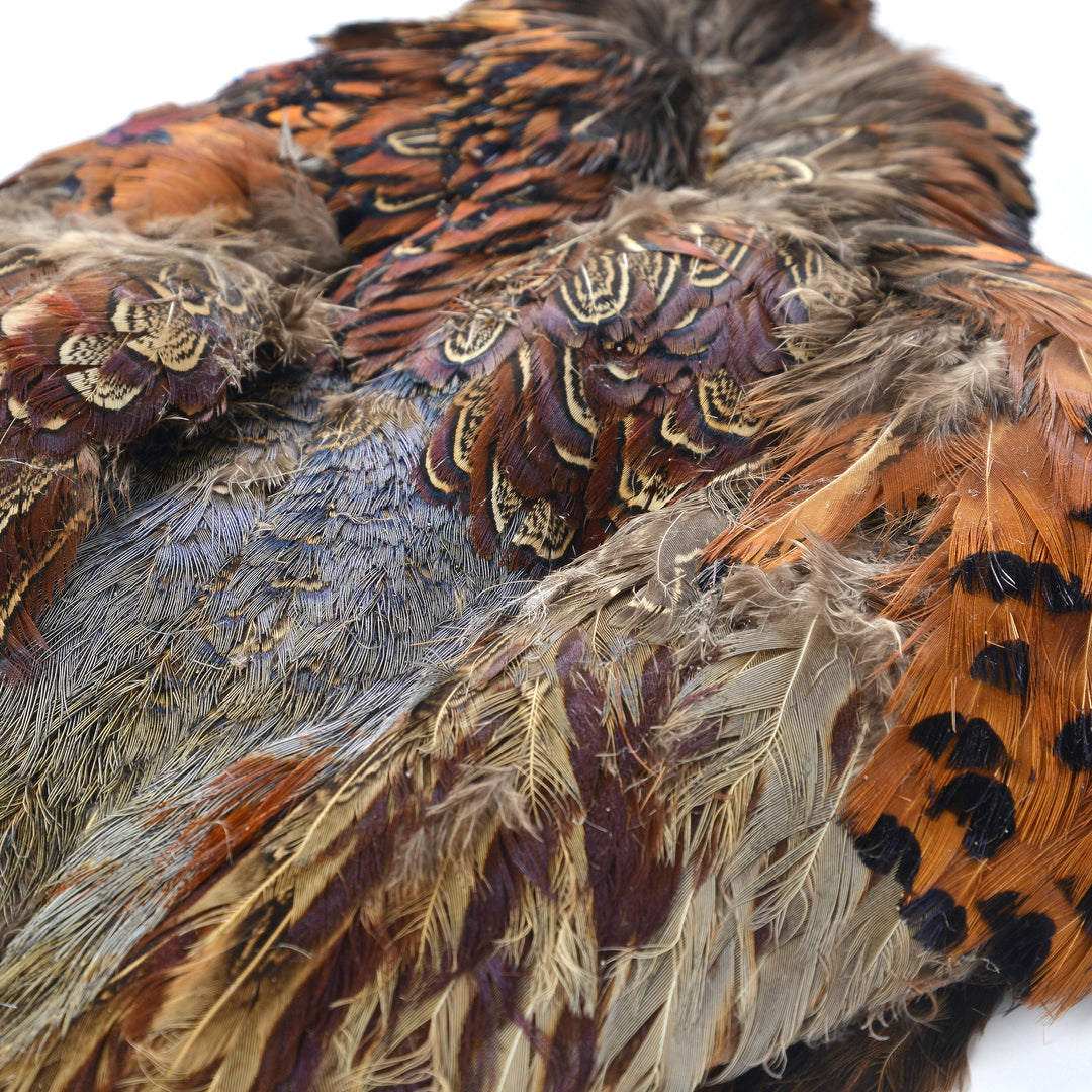 Ringneck Pheasant Skin Natural