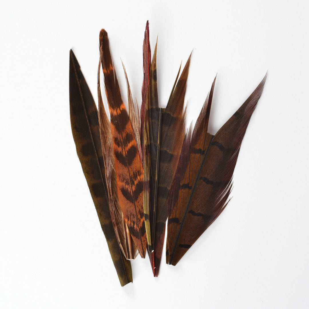 Ringneck Pheasant Tail Pieces