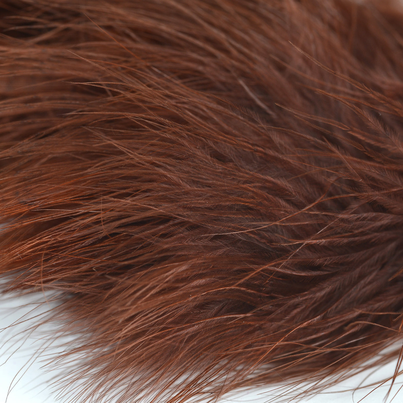 Strung Marabou