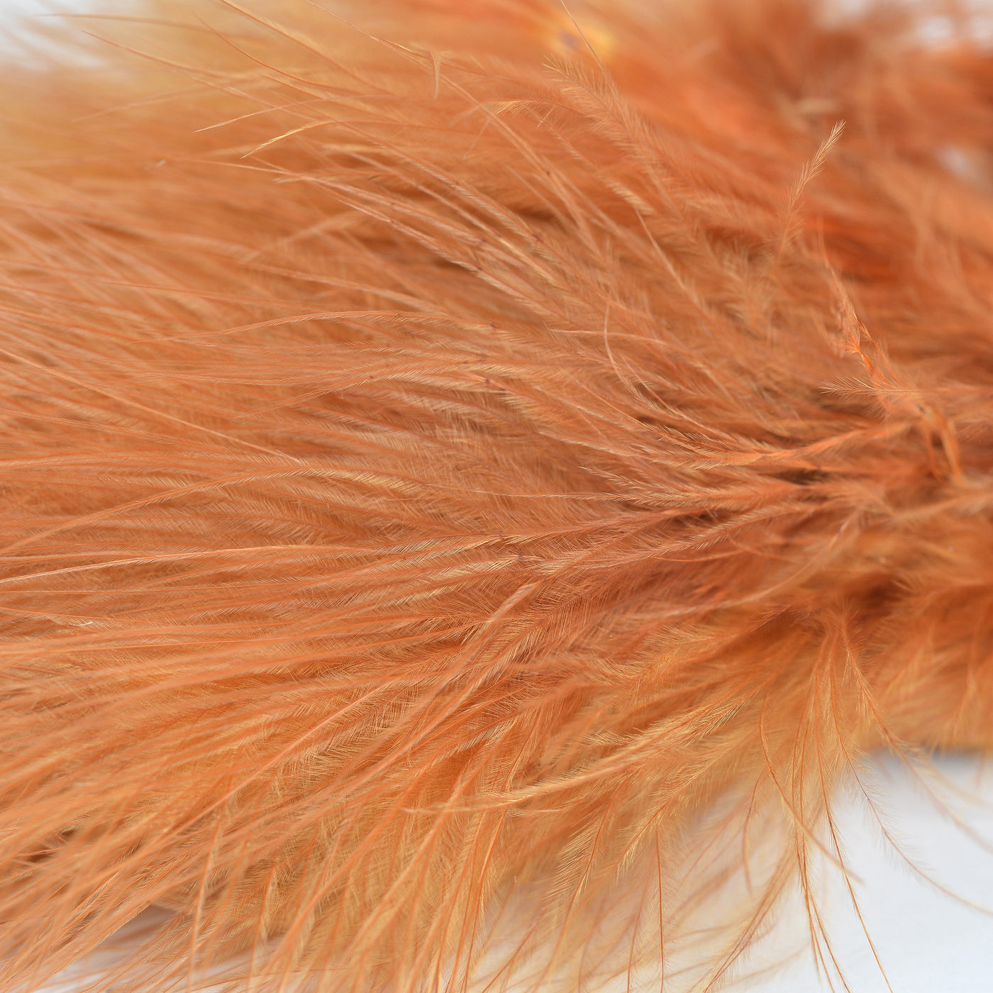 Strung Marabou