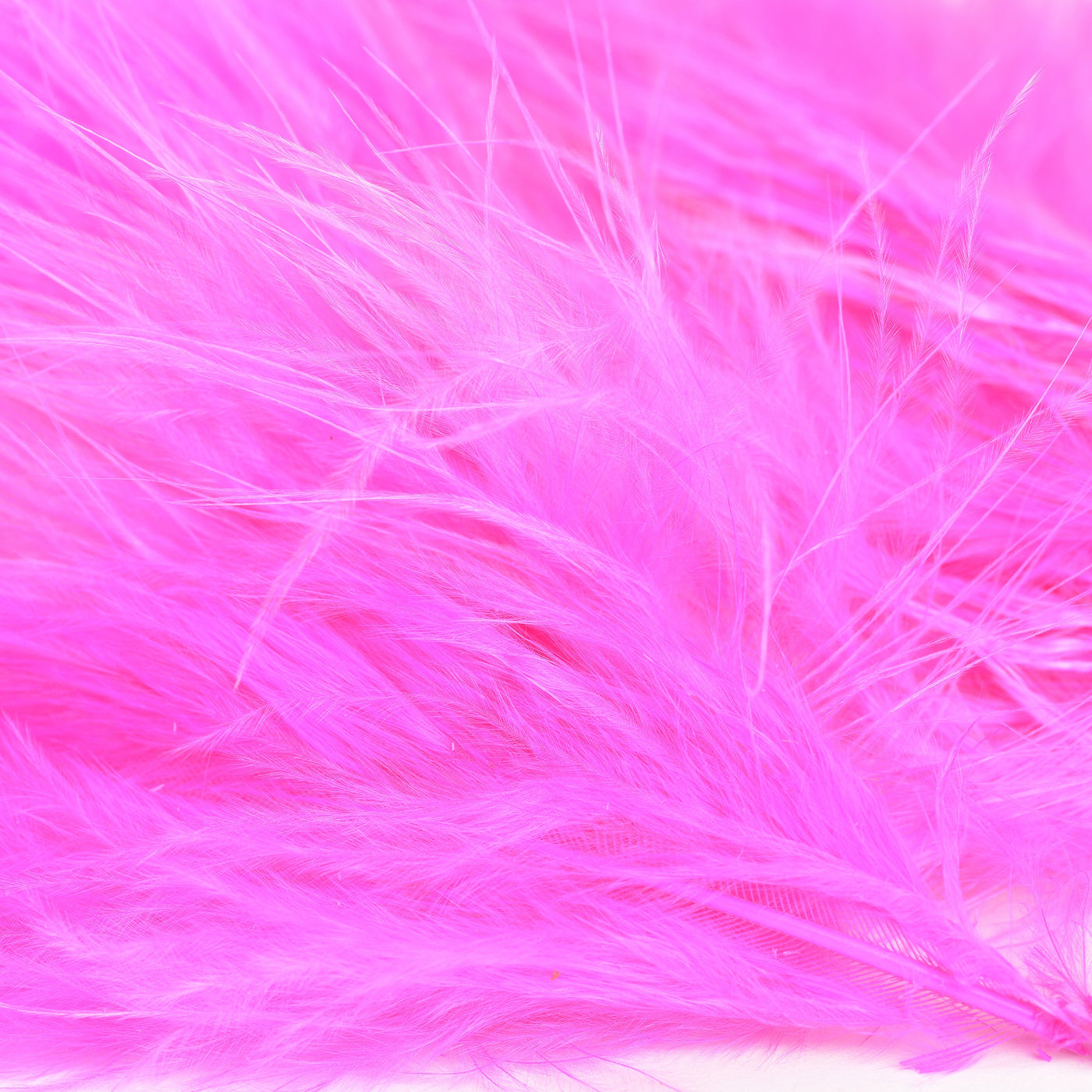 Strung Marabou