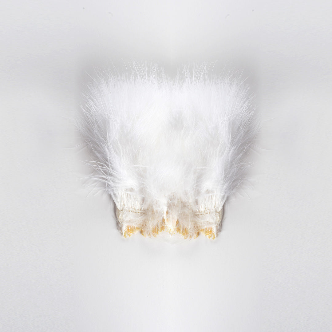 WHITE Strung Marabou Turkey Feathers for Fly Fishing, Fly Tying, D.I.Y Arts  and Crafts ZUCKER® 