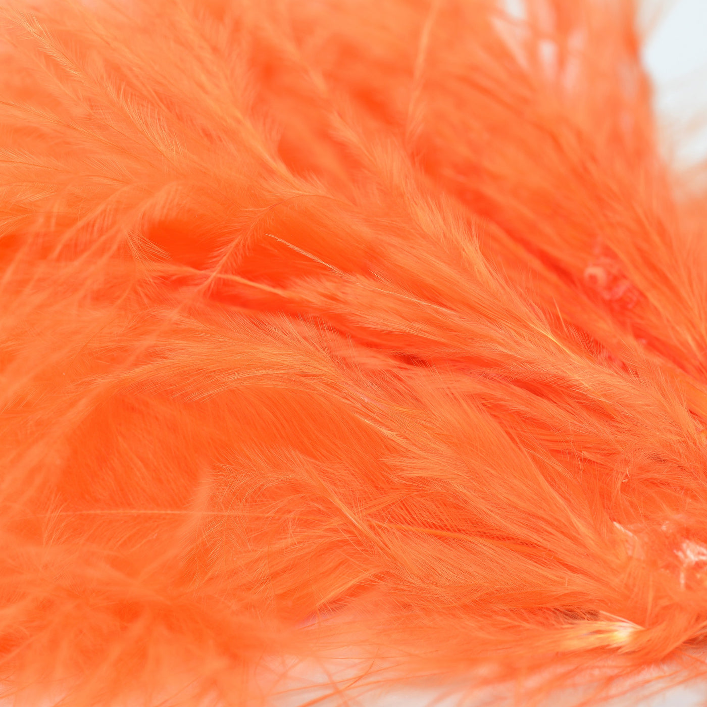 Strung Marabou