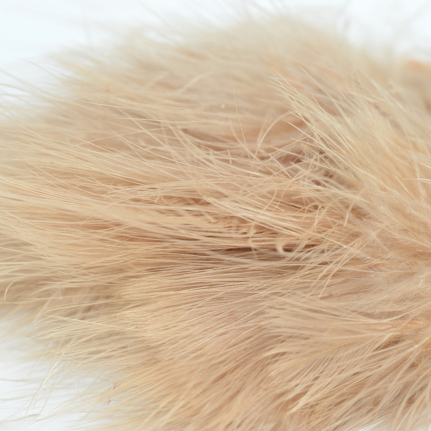 Strung Marabou