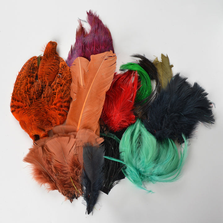 Feather Variety Pack Dyed