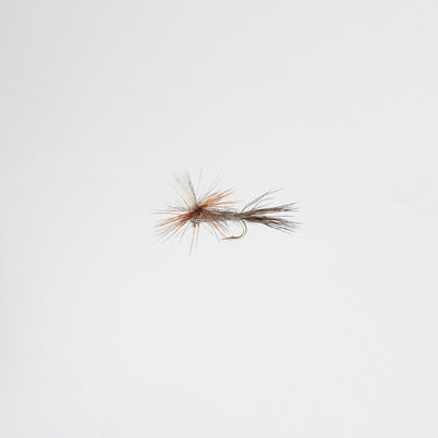 Dry Adams Parachute