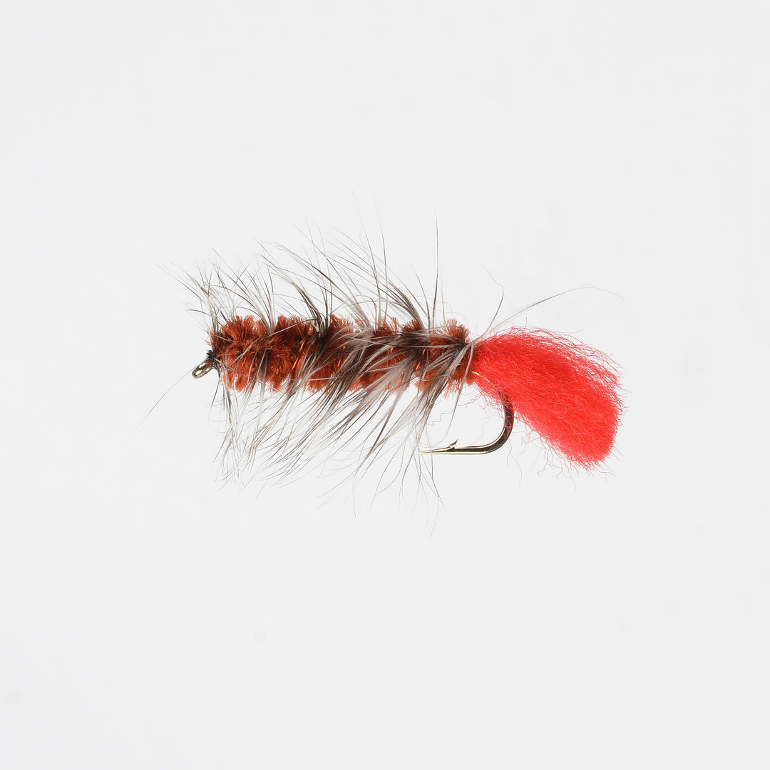 Nymph Wooly Worm Brown – Perfect Hatch - Main Image