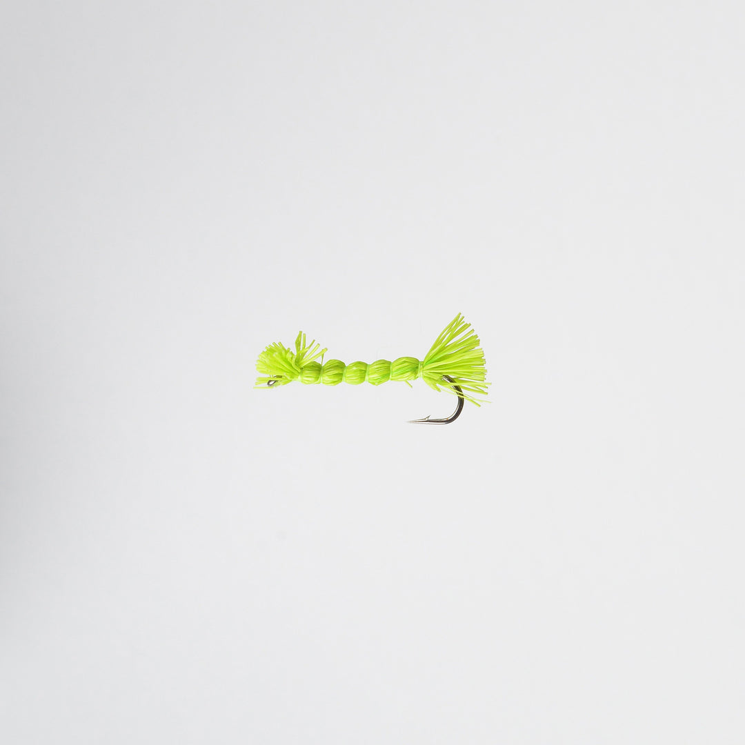 Dry Terrestrial Green Inchworm