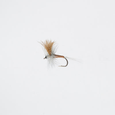 Dry Red Quill