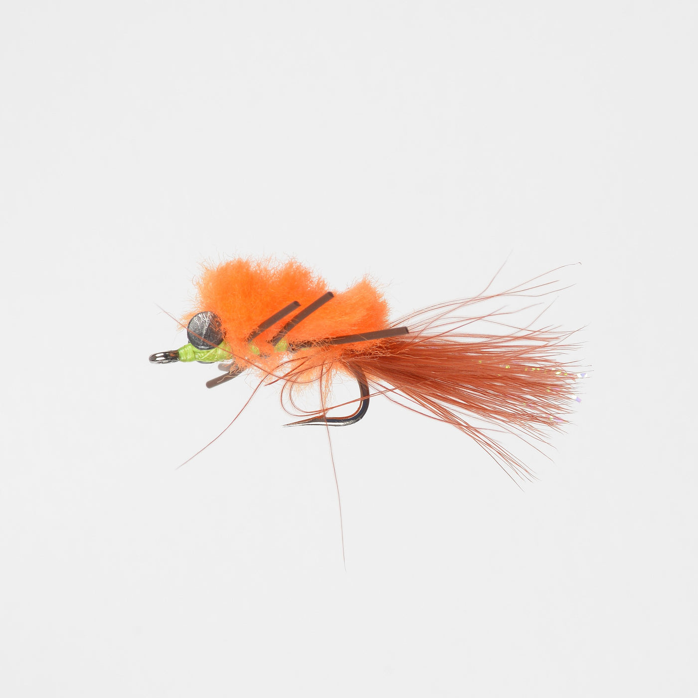 Saltwater Woolhead Crab Brown/Orange