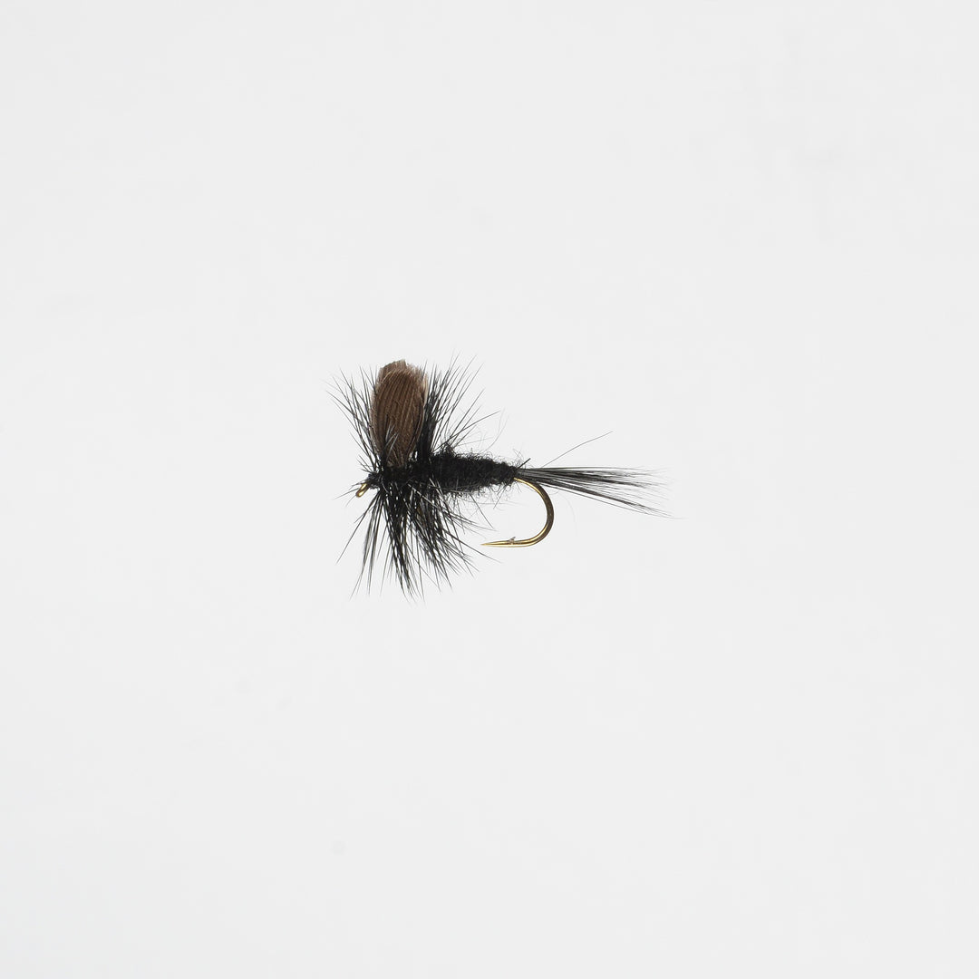 Dry Black Gnat