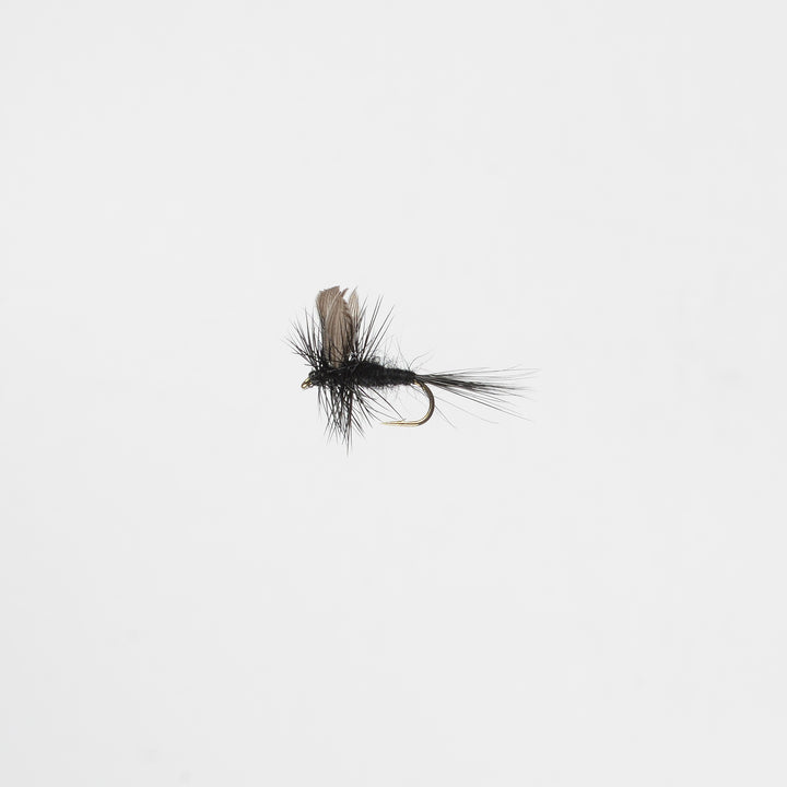 Dry Black Gnat