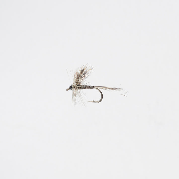 Dry Mosquito