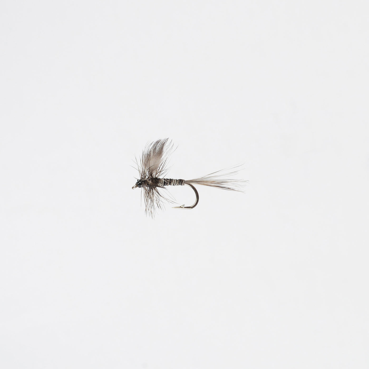 Dry Mosquito