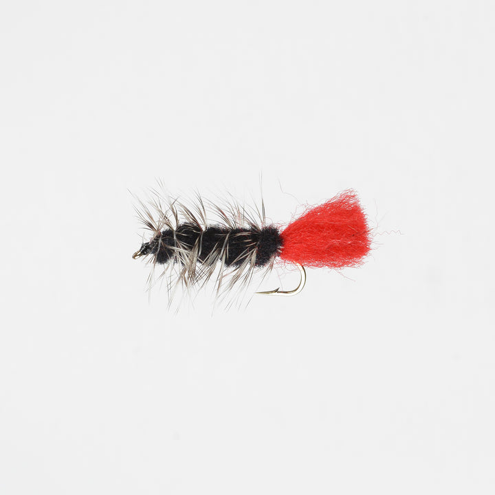 Nymph Wooly Worm Black