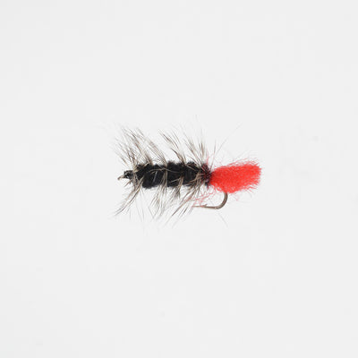 Nymph Wooly Worm Black