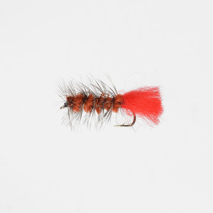 Nymph Wooly Worm Brown