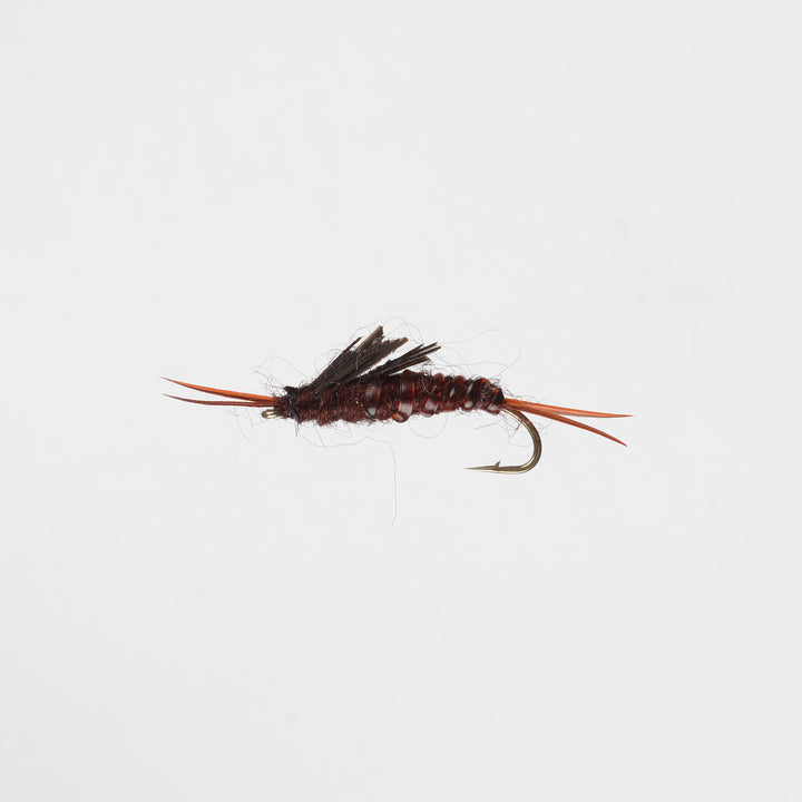 Nymph Stonefly Brown