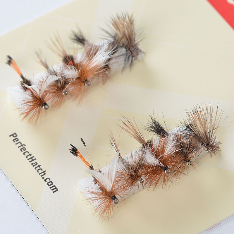 Dry Fly Assortment – Perfect Hatch