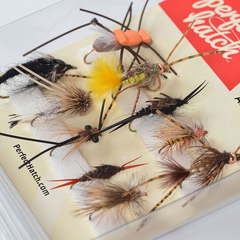 Grab N Go Bass Bug Fly Assortment – Perfect Hatch