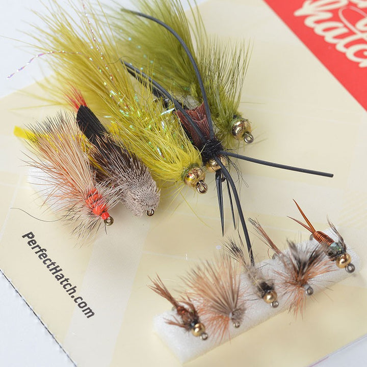 Western Trout Assortment
